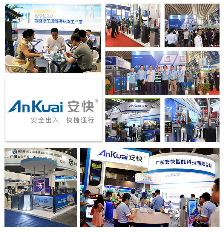 Operational inspection of brushless servo motor security system